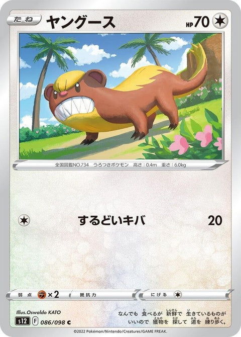 86-yungoos