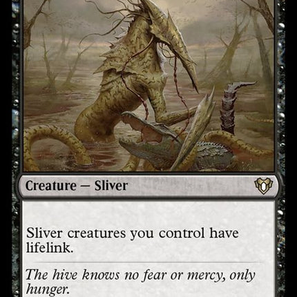 870-syphonsliver