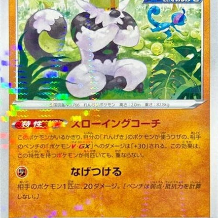 88-passimian-mirrorholofoil