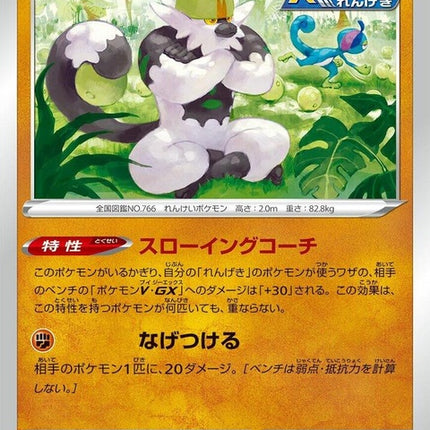 88-passimian
