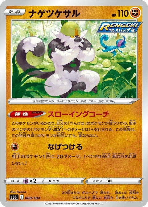 88-passimian