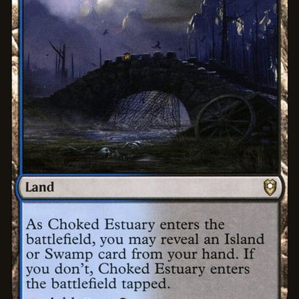 886-chokedestuary