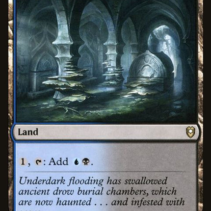 889-darkwatercatacombs