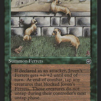 89-jovensferrets