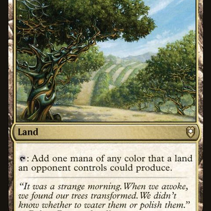 893-exoticorchard