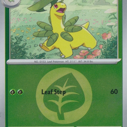 9-bayleef-energysymbolpattern