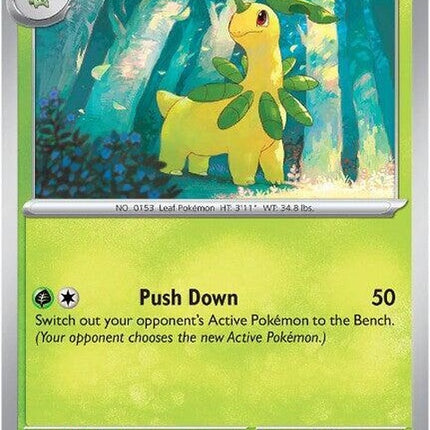 9-bayleef