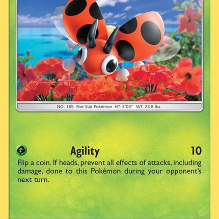 9-ledyba