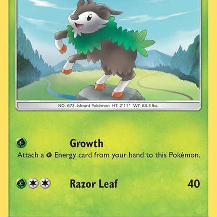 9-skiddo