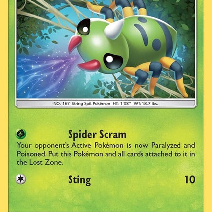 9-spinarak