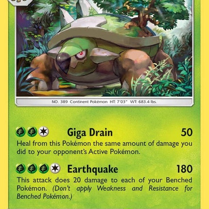 9-torterra