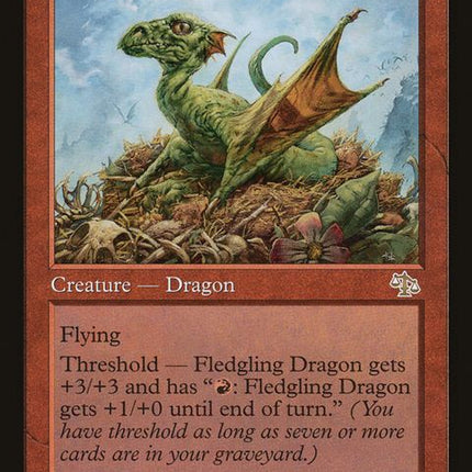 90-fledglingdragon