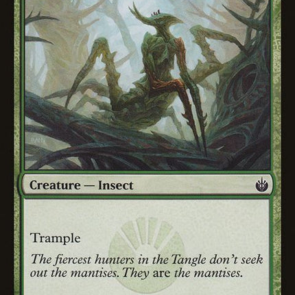 91-tanglemantis