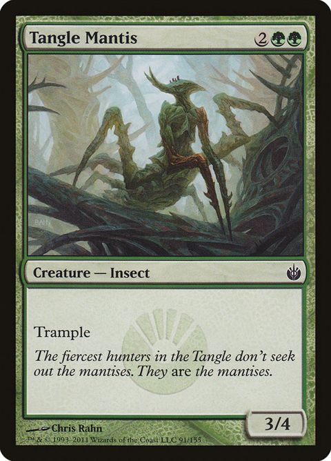91-tanglemantis