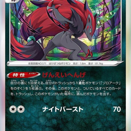 91-zoroark
