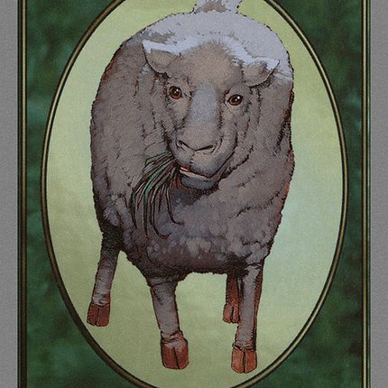 93-sheep