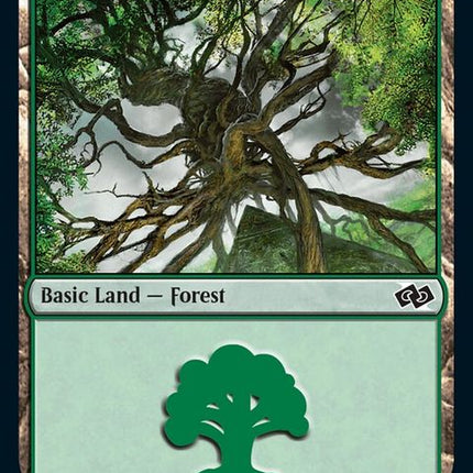 95-forest