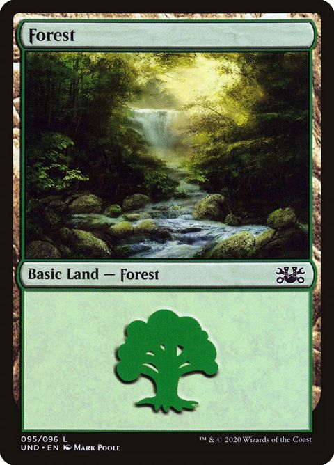 95-forest