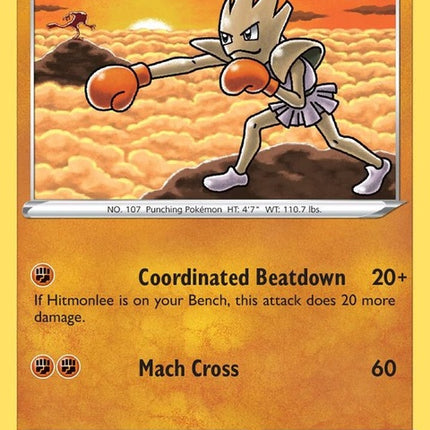 95-hitmonchan