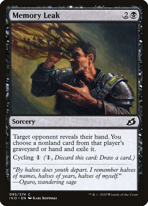 95-memoryleak