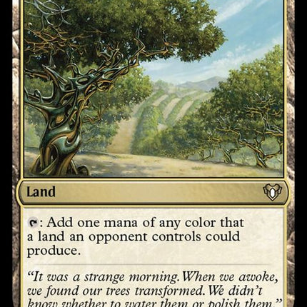 993-exoticorchard
