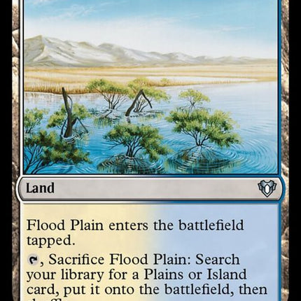 994-floodplain