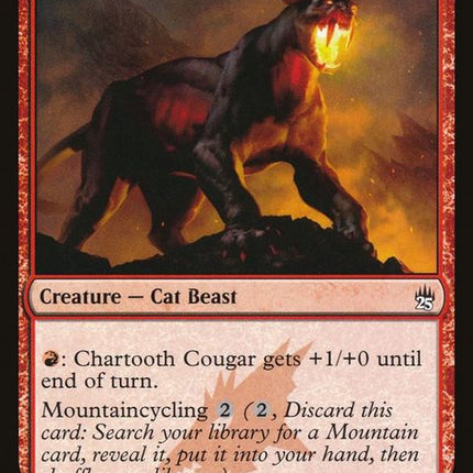 a25-125-chartoothcougar