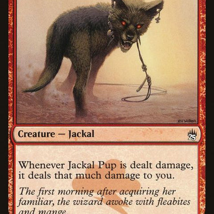 a25-139-jackalpup