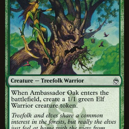 a25-158-ambassadoroak