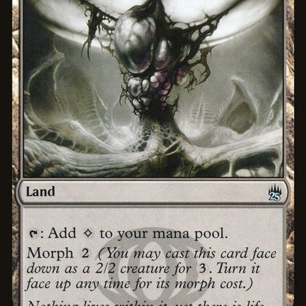 a25-249-zoeticcavern