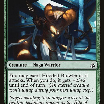 akh-173-hoodedbrawler