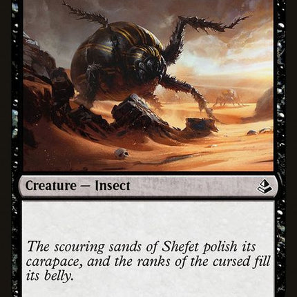akh-89-dunebeetle