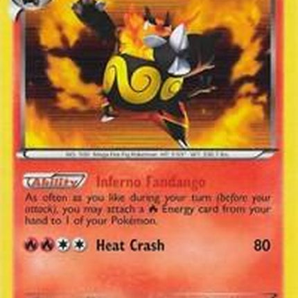 bw21-emboar