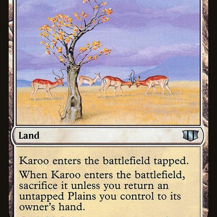 c14-303-karoo