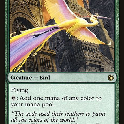 cn2-176-birdsofparadise