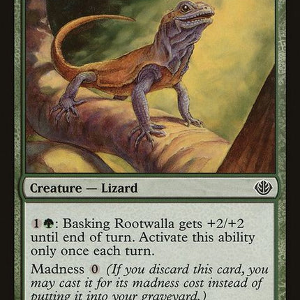 ddd-2-baskingrootwalla