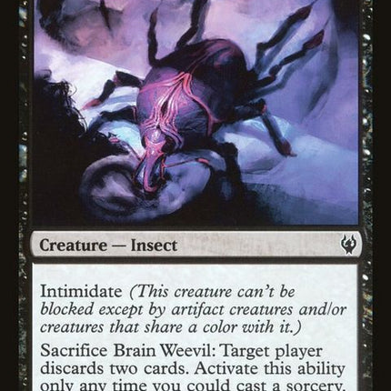 ddj-58-brainweevil