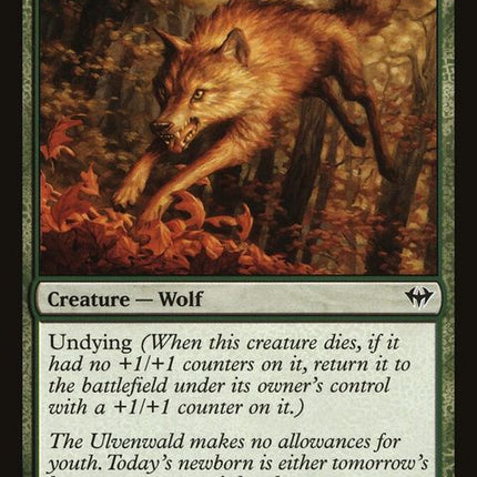 dka-134-youngwolf
