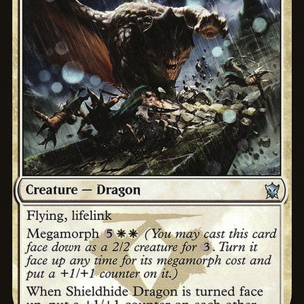 dtk-37-shieldhidedragon