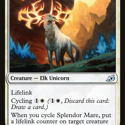 iko-32-splendormare