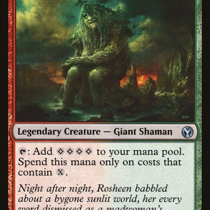 ima-206-rosheenmeanderer