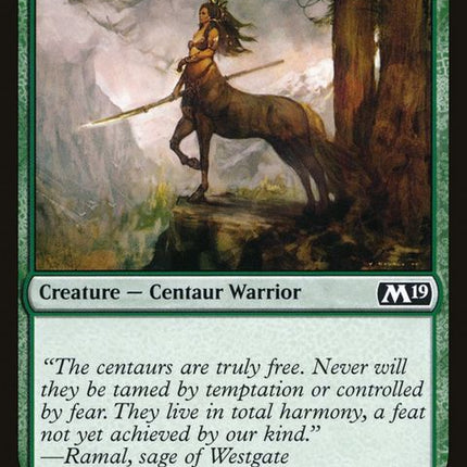 m19-171-centaurcourser