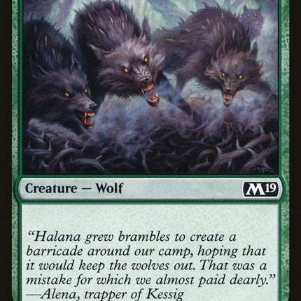 m19-204-thornhidewolves