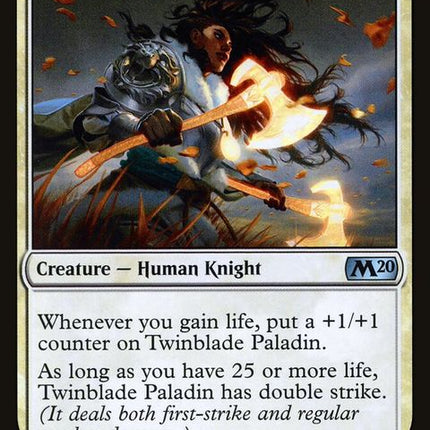 m20-285-twinbladepaladin