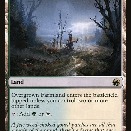 mid-265-overgrownfarmland