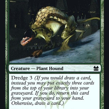mma-146-greatermossdog