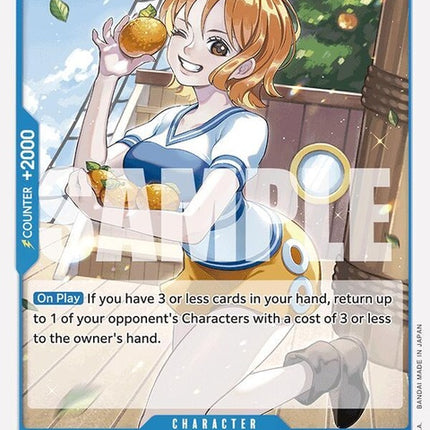 p-053-namip053reprint