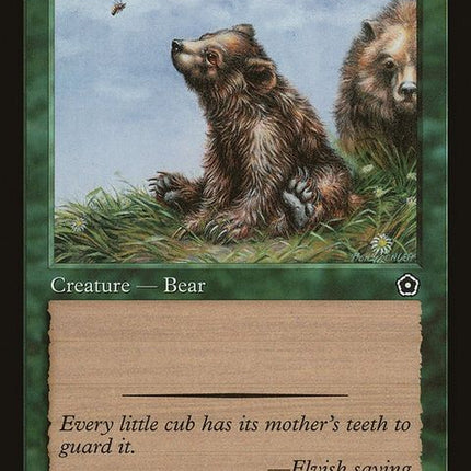 p02-123-bearcub