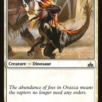 rix-19-raptorcompanion