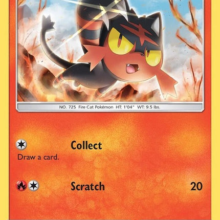 sm08-litten